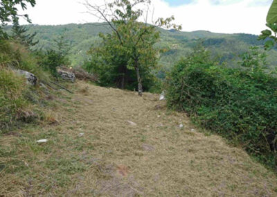 Woning 12 Vagli di Sopra in Garfagnana