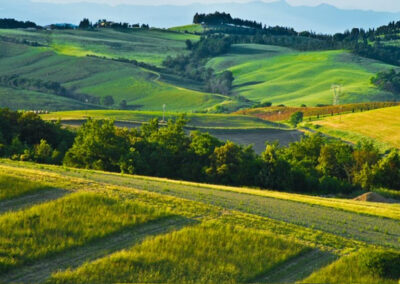 Beautiful farmhouse Volterra