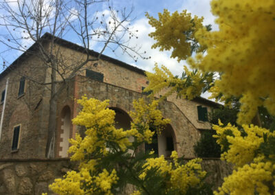 Beautifull farmhouse nearby Volterra