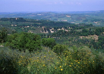 Beautifull farmhouse nearby Volterra