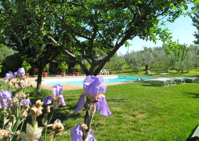 Beautifull farmhouse nearby Volterra
