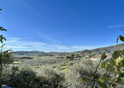 Villa with 2 apartments nearby Lucca