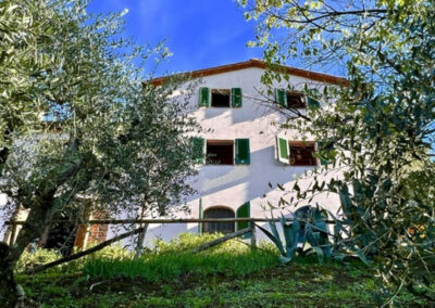 Villa with 2 apartments nearby Lucca
