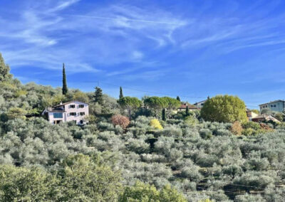 Villa with 2 apartments nearby Lucca