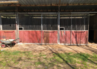 B@B met 4 appartementen en manege