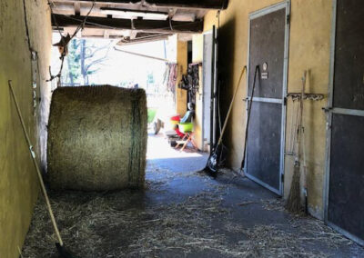 B@B met 4 appartementen en manege