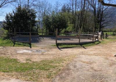 B@B met 4 appartementen en manege