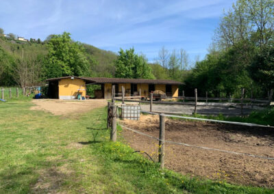 B@B met 4 appartementen en manege