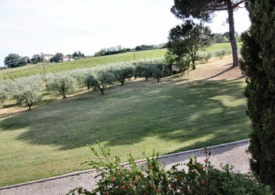 Beautiful Farmhouse Crespina