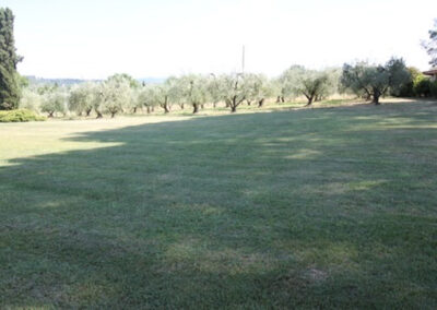Beautiful Farmhouse Crespina