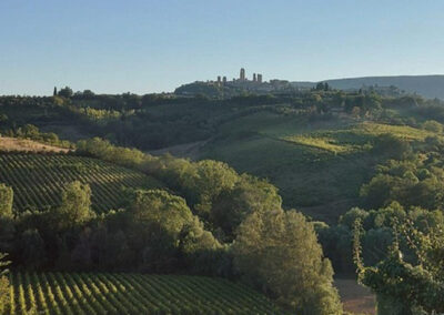 Beautiful Farmhouse with vineyard