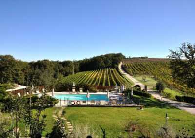 Beautiful Farmhouse with vineyard