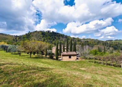 Beautiful Rustico Pisa Chiani