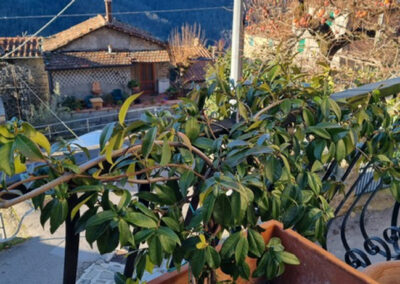 Beautiful village house near Bagni