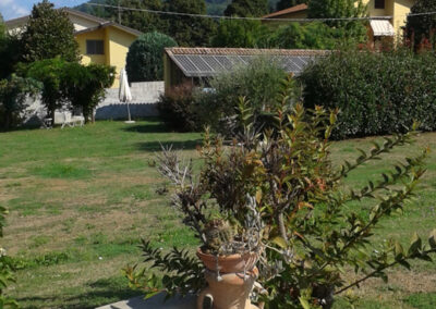 Detached Villa in Barga Lucca