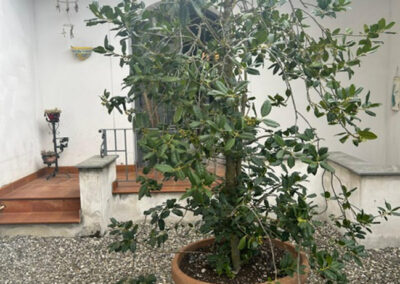 Detached Villa in Barga Lucca