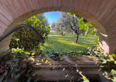 Detached villa Montecarlo Lucca
