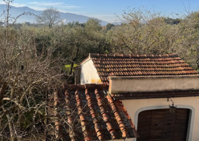 Detached villa Montecarlo Lucca