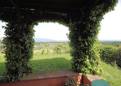Farmhouse in the Pisa hills