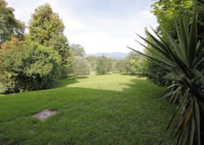 Farmhouse in the Pisa hills