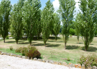 Farmhouse in the San Macario