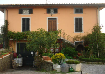 Farmhouse lucca hills with vineyard