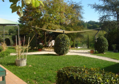 Farmhouse lucca hills with vineyard