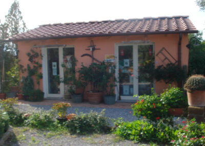 Farmhouse lucca hills with vineyard