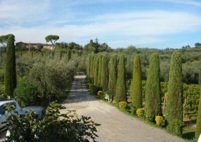 Farmhouse lucca hills with vineyard