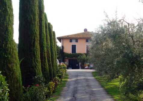 Farmhouse lucca hills with vineyard