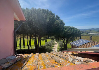 Farmhouse with guesthouse Fauglia