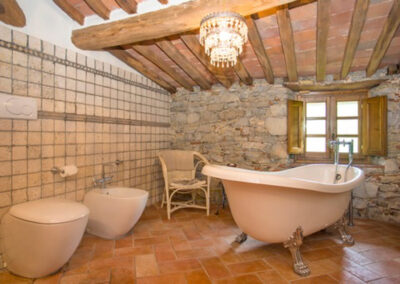 Farmhouse with guesthouse lucca