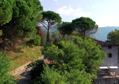 Farmhouse with guesthouse lucca