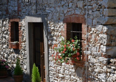 Farmhouse with guesthouse lucca