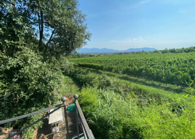 Historic Villa nearby Lucca