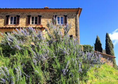 Luxury renovated Farmhouse nearby Volterra Pissa