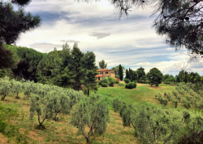 Luxury renovated Farmhouse nearby Volterra Pissa