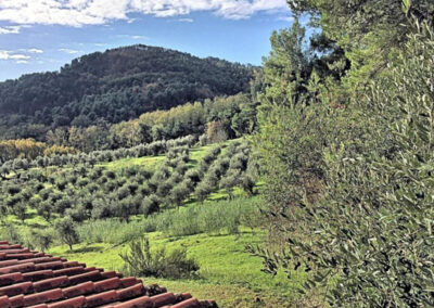 Luxury renovated Farmhouse nearby Volterra Pissa