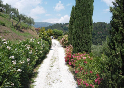 Rustico Massarosa sea view