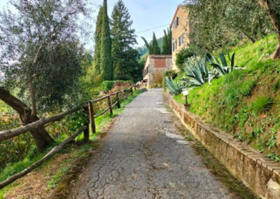 Rustico hills