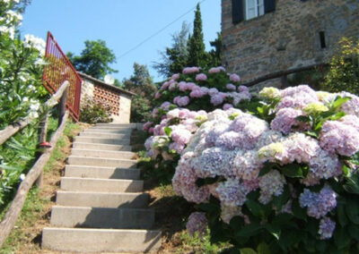 Rustico hills