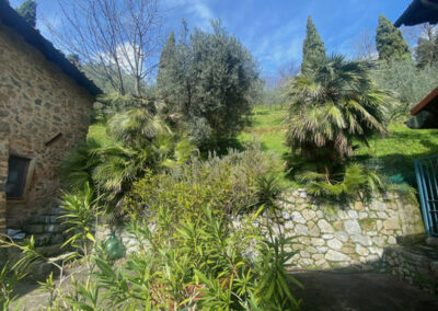 Rustico hills of Lucca with guesthouse