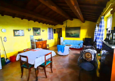 Rustico hills of Lucca with guesthouse