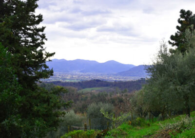 Rustico hills of Lucca with guesthouse