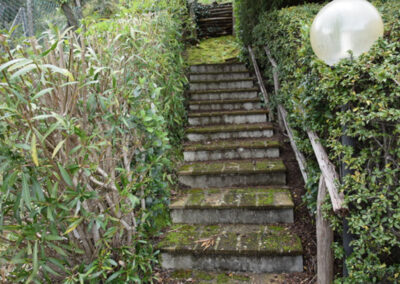 Rustico hills of Lucca with guesthouse
