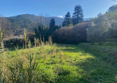 Rustico nearby Capannori Lucca