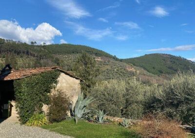 Rustico nearby Capannori Lucca