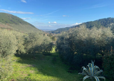 Rustico nearby Capannori Lucca