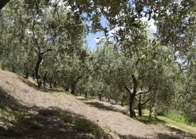Sea view villa Massarosa