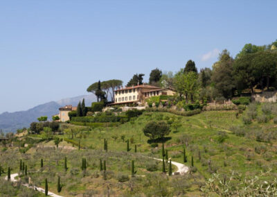 Villa Hills of lucca